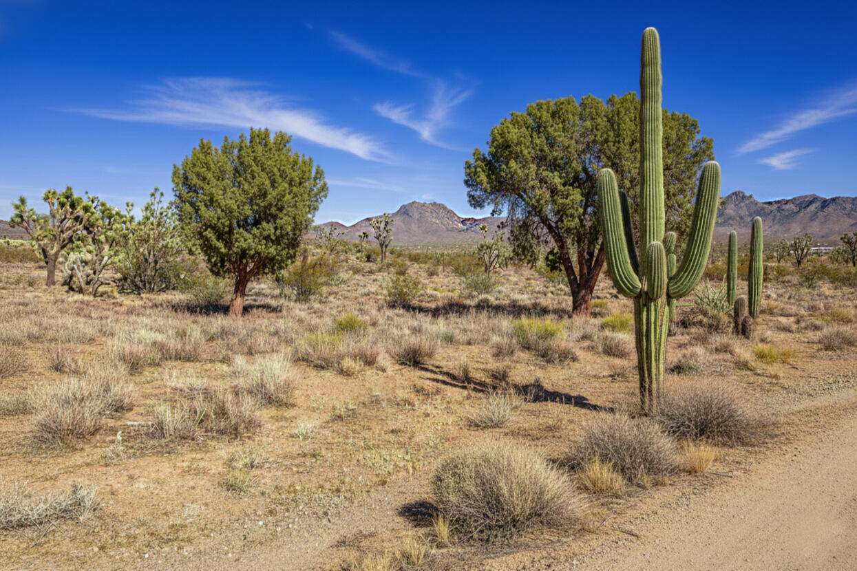 Mohave 1.07 Acres, 328-03-482 Wash - 0 North Dr, Dolan Springs, AZ 86441