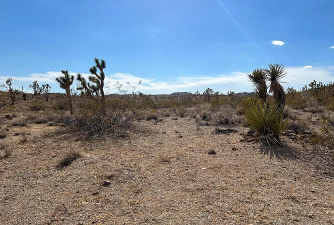 Mohave 1.07 Acres, 328-03-482 Wash - 0 North Dr, Dolan Springs, AZ 86441